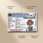 Divya Raksha Karungali + Rudraksha Mala