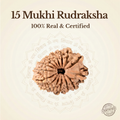 Nepal Origin 15 Mukhi Rudraksha