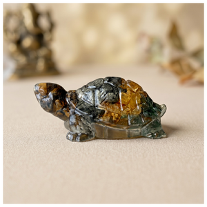Dhanyog Tortoise (Kachhua)