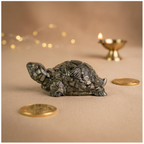 Raw Pyrite Turtle (Kachhua)