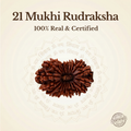 Nepal Origin 21 Mukhi Rudraksha