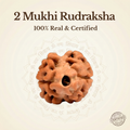 Nepal Origin 2 Mukhi Rudraksha