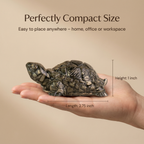 Raw Pyrite Turtle (Kachhua)