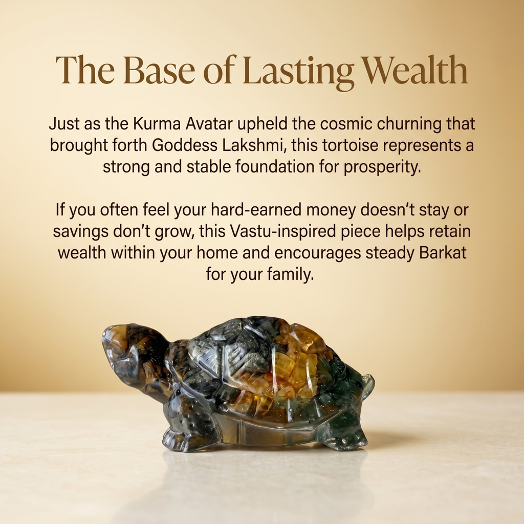 Dhanyog Tortoise (Kachhua)