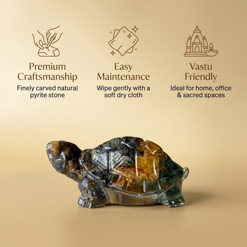 Dhanyog Tortoise (Kachhua)