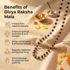 Divya Raksha Karungali + Rudraksha Mala