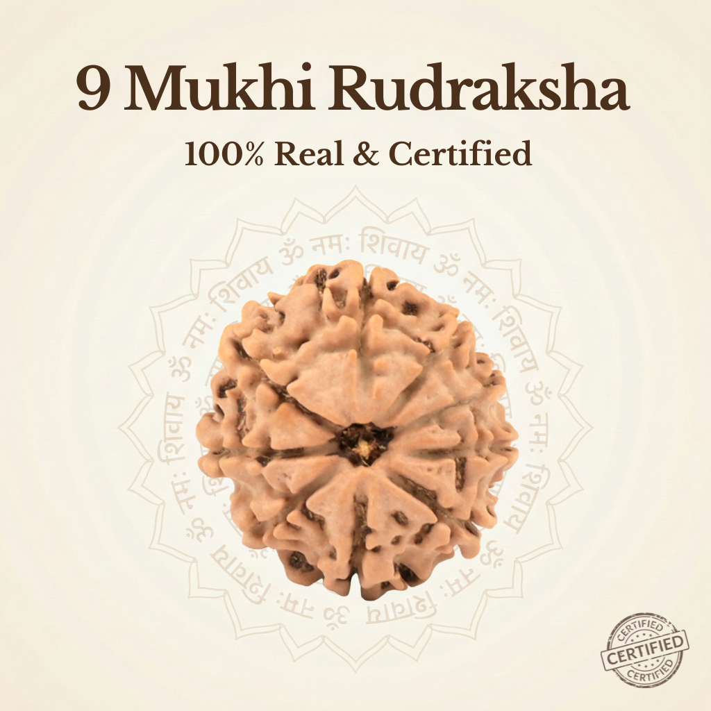 Nepal Origin 9 Mukhi Rudraksha